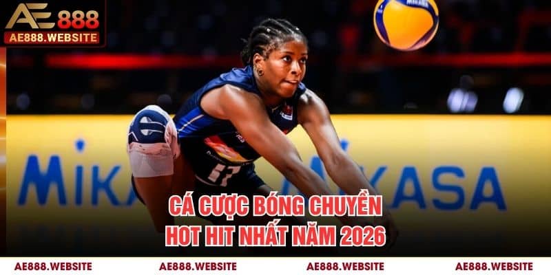 Cá cược bóng chuyền hot hit nhất năm 2026