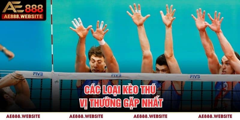 Các loại kèo thú vị thường gặp nhất