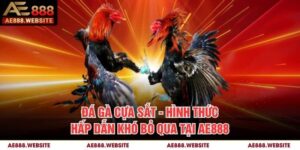 Đá Gà Cựa Sắt - Hình Thức Hấp Dẫn Khó Bỏ Qua Tại AE888