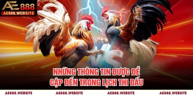 Những thông tin được đề cập đến trong lịch thi đấu Những thông tin được đề cập đến trong lịch thi đấu