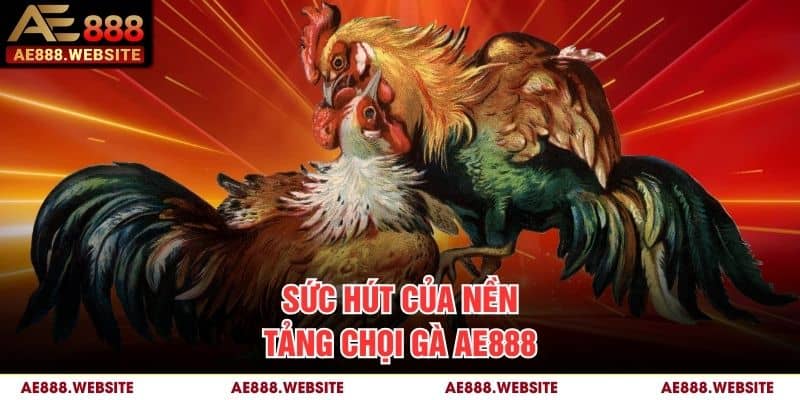 Sức hút của nền tảng chọi gà AE888